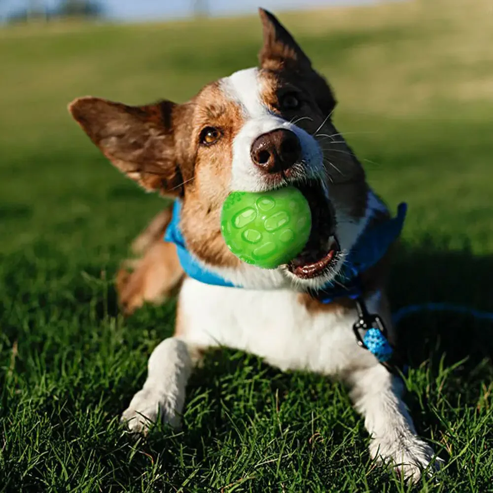 Pet Dog Puppy dźwiękowa zabawka skrzypiące czyszczenie zębów piłka odporna na ugryzienia Chew gumowa zabawka Float śmieszne zwierzęta opieka