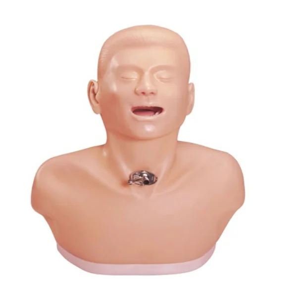 

Advanced Adult Tracheotomy Care Model Nursing Simulator