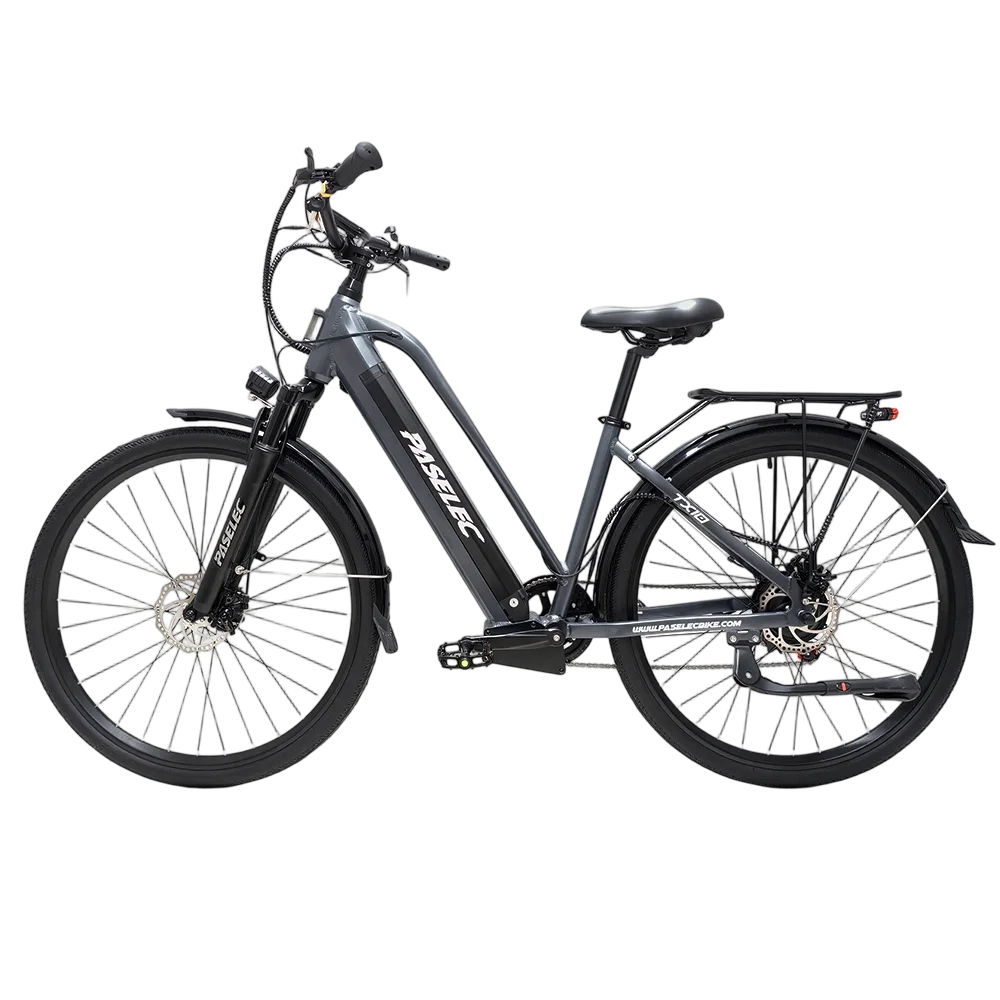PASELEC TX10 Elektrische fiets voor volwassenen,100km actieradius,48V 19,2Ah accu,29 inch banden,7 versnellingen,Vergrendelbare voorvork,Voor‑ en achterremmen met schijfrem,Geschikt voor