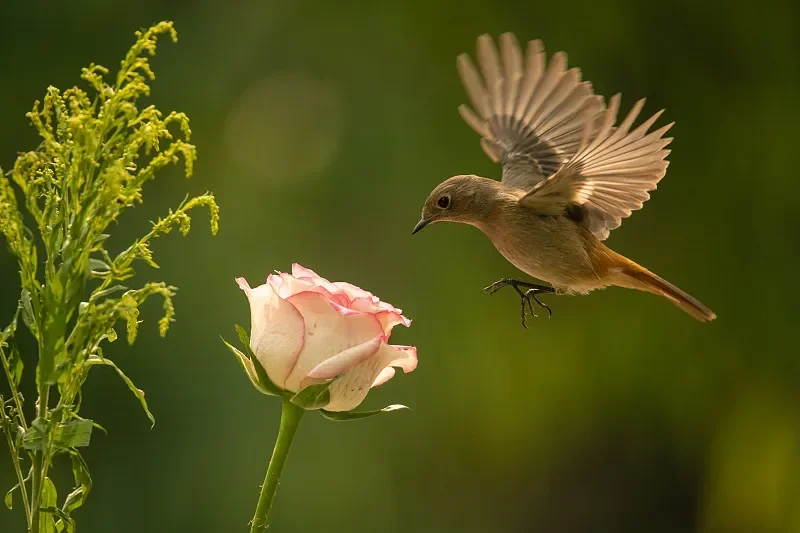 

1:18 4WD RC Пикап — высокоскоростная модель для альпинизма и гонок по бездорожью