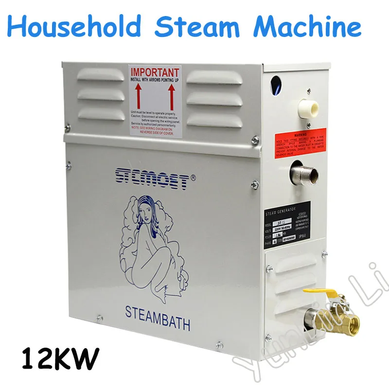 12KW Steam Generator 220V Household Steam Bath Sauna Dry Stream Furnace Wet Steam Steamer Digital Controller 2025 new