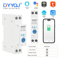 WIFI Smart Switch DC Timer Relay Status Real-time Monitoring Remote Control Circuit Breaker Smartlife/TUYA App 8-90V No Metering