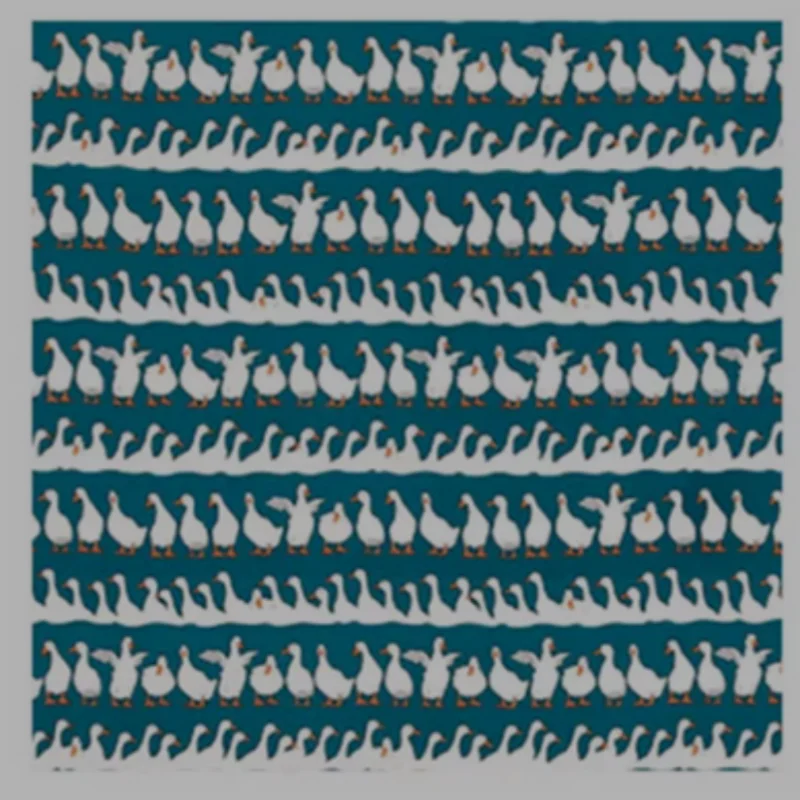 

half yard import 100% cotton oxford fabric with cartoon duck print, handmade DIY quilting bag cloth A929