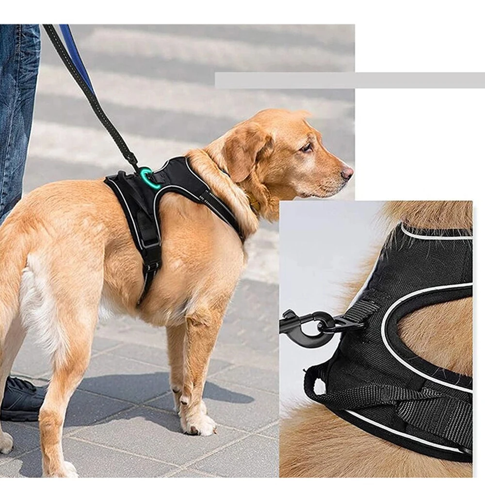 Dog Vest-Style Harness Traction Rope, Pet Harness Traction, Four-Color Optional Polyester Material Dog Harness, Suitable for Medium and Large Dogs, Dog Harness Pet Supplies