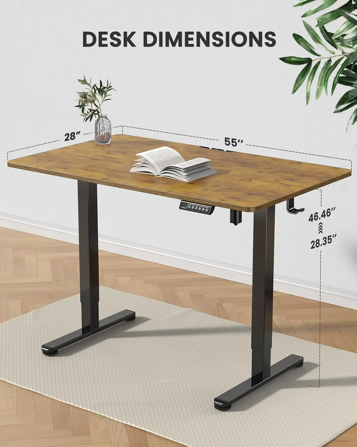 Height Adjustable Electric Standing Desk, 55 x 28 Inches Sit Stand up Desk, Memory Computer Home Office Desk