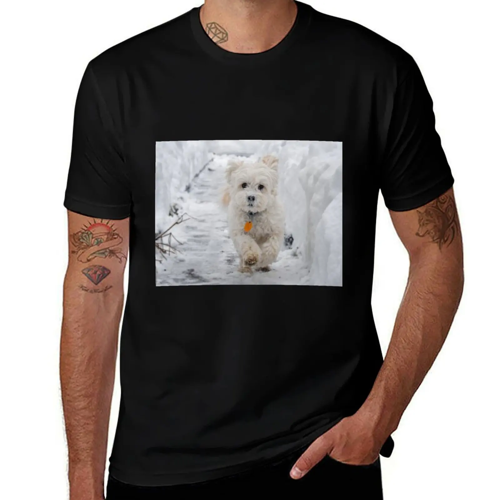 

shirt graphic snow man dog cotton shirts soft for cotton in man T-Shirt for heavy White shirts tees man t t Maltipoo t running