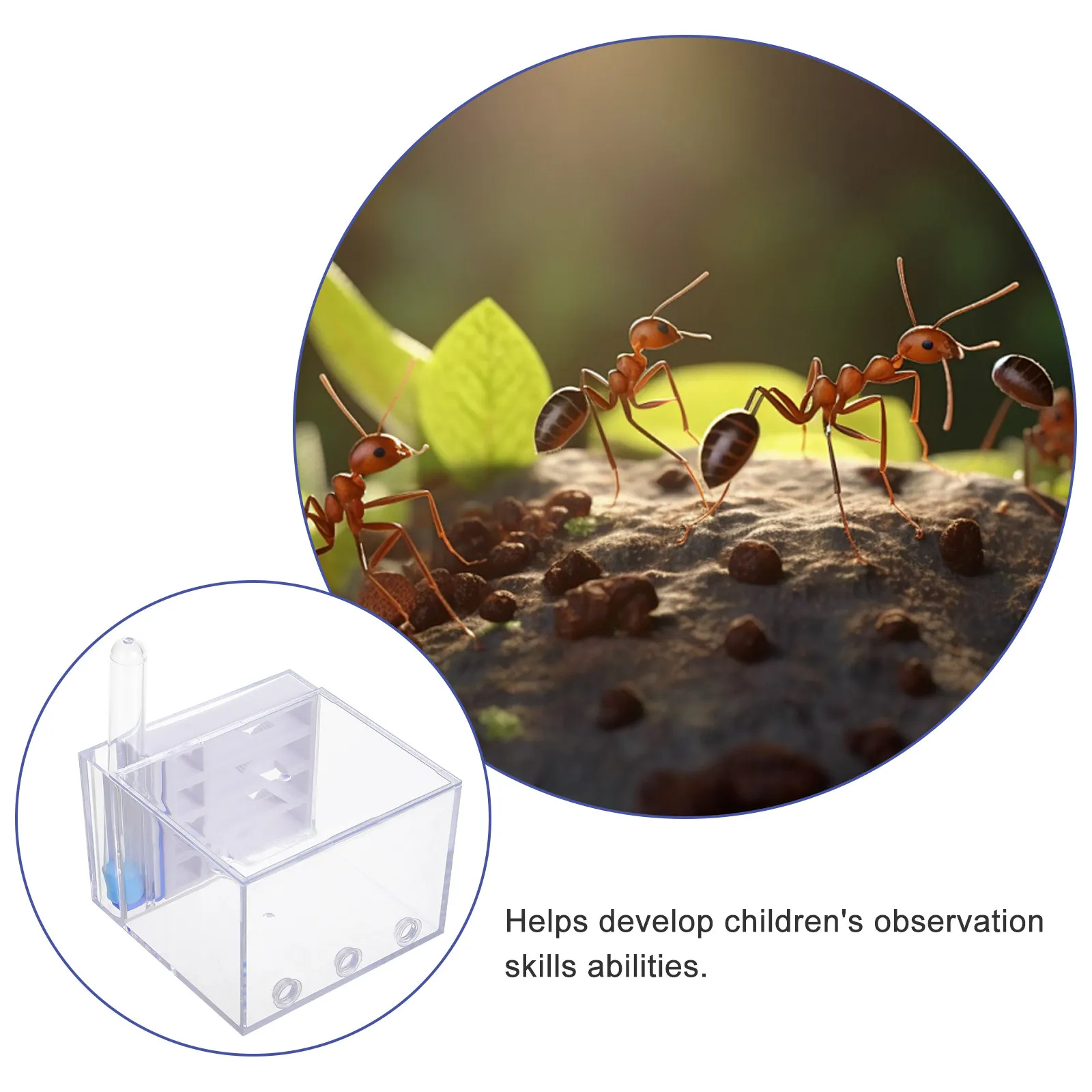 Ants Habitat with Integrated Test Tubes Acrylic Observation Kit for Live Colony Stem Science Learning Kids Adults