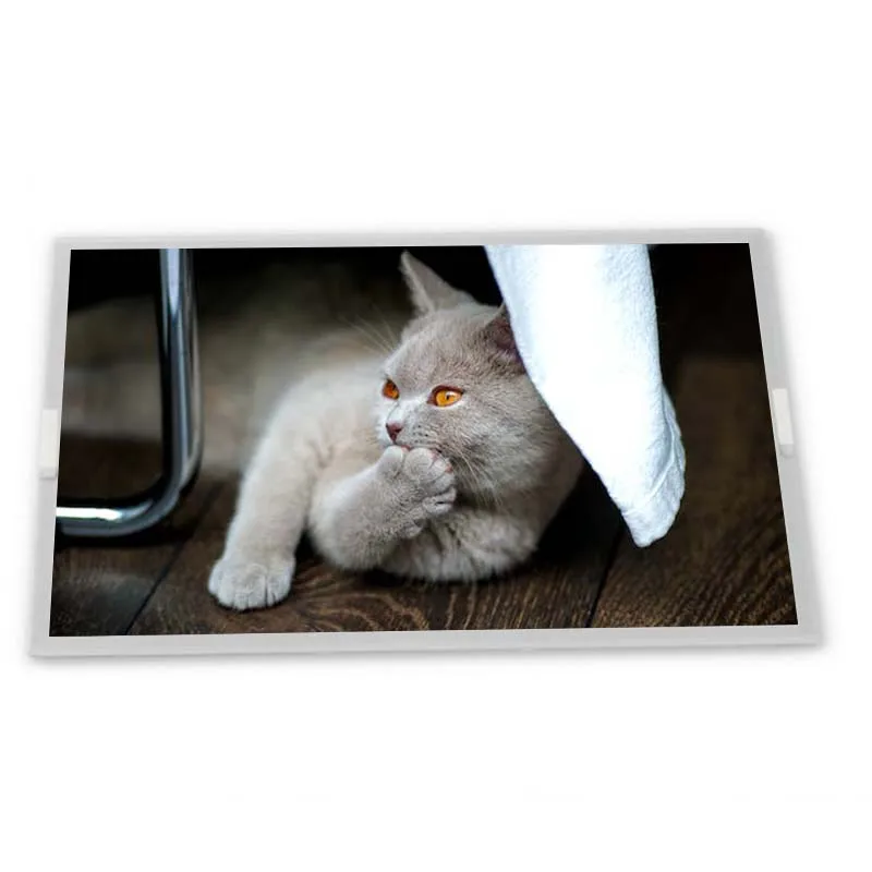 G121X1-L01 12.1 inch 1024*768 CCFL TFT-LCD Display Screen Zhiyan supply