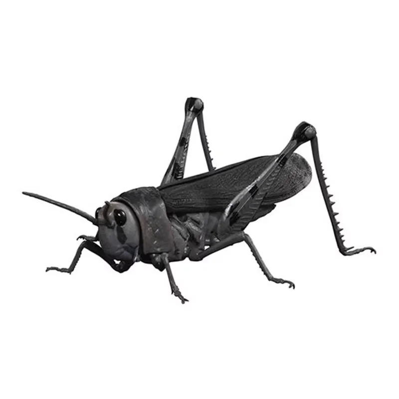 GACHA Ecological Atlas FIGURE Joint Mobility Locust Grasshopper Migratory Locust Insect Creature ACTION Figure Model Toys