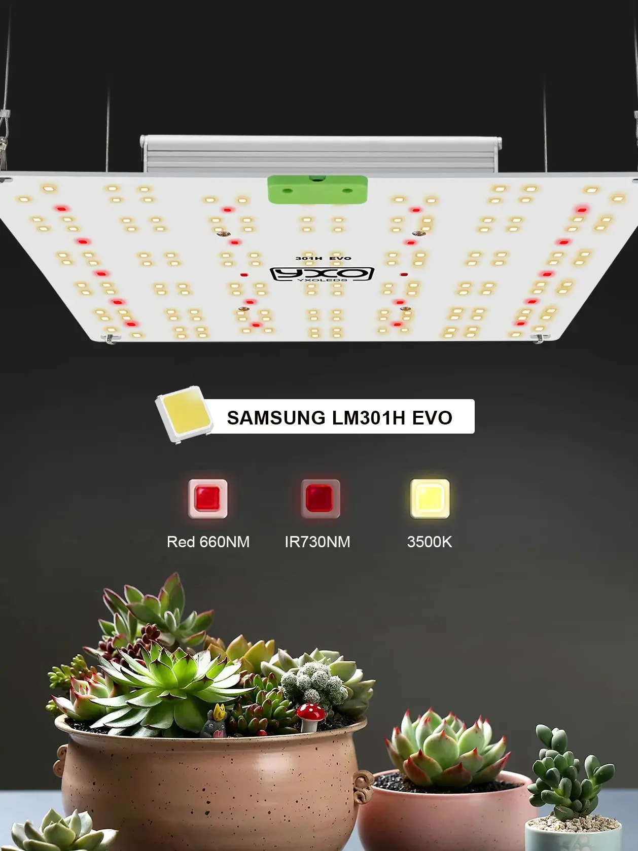 

LM301H EVO LED Grow Light 65W 120W Full Spectrum Plant Growth Lamp for Veg Bloom Hydroponic Greenhouse Flower Grow Tent