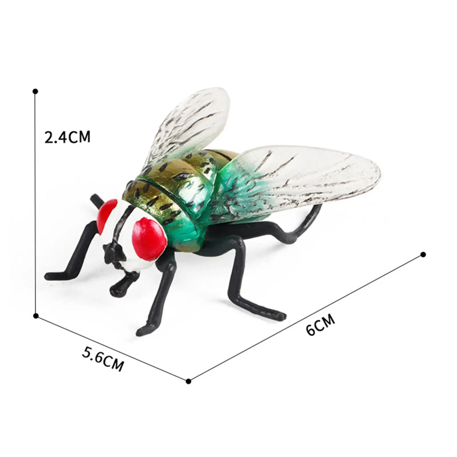 파리 장난감 소형 파리 모델 인식 교육 장난감