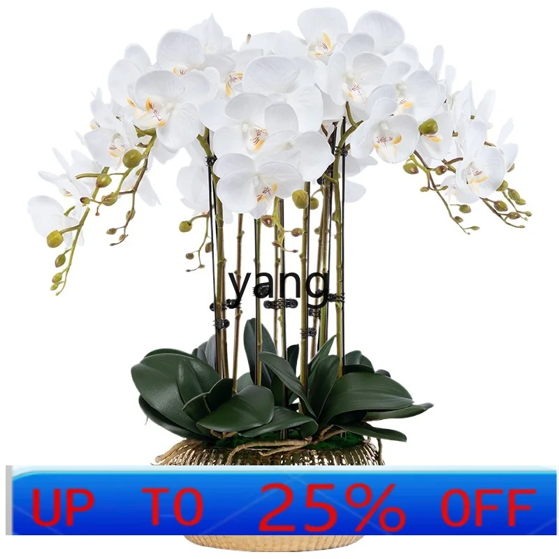 

LHH large potted Phalaenopsis simulated flower art feel plastic fake flower decoration living room hotel