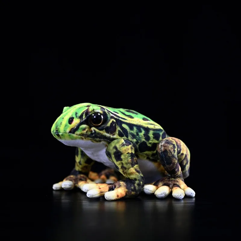 

Black Spot Side-groove Frog Plush Toy Field Mouse Doll Frog Figurine Animal Lifelike Animals Simulation Stuffed Doll Kawaii Toy