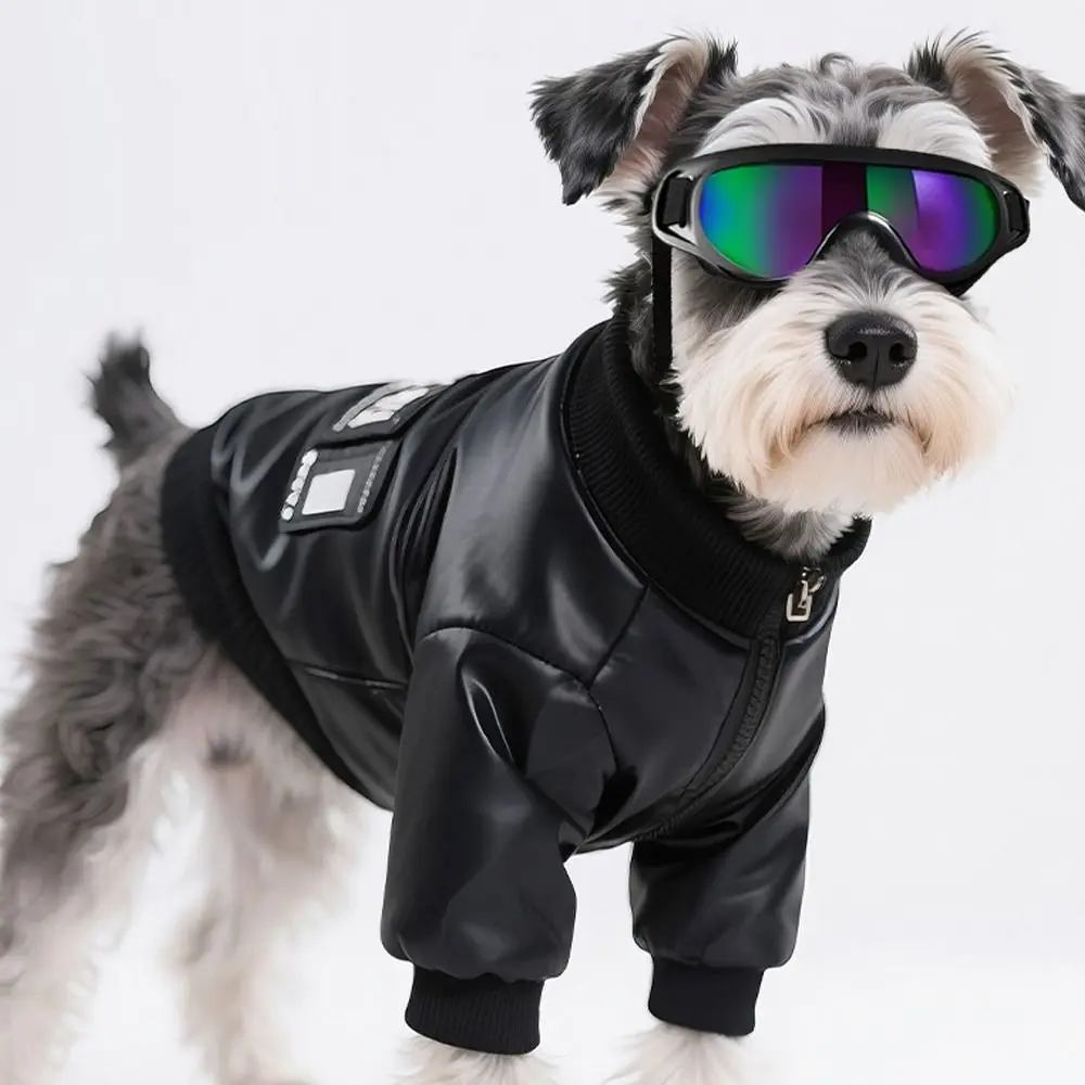 

Summer Style Dog Goggles UV Protection Adjustable Strap Protective Eyewear Comfortable Fit Breathable Pet Sunglasses