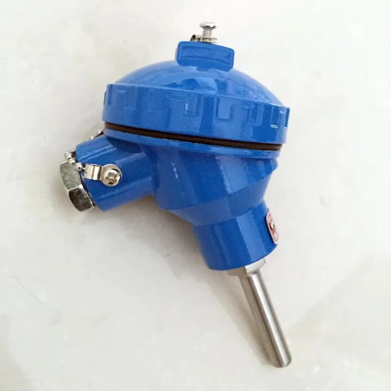 RTD Sensor Pt100 Transmitter 6*150mm
