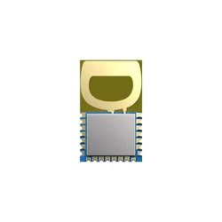 2Pcs/lot UWB3000F00 Decawave's DW3000,Positioning accuracy: 10cm,two-way ranging UWB tracking indoor positioning module