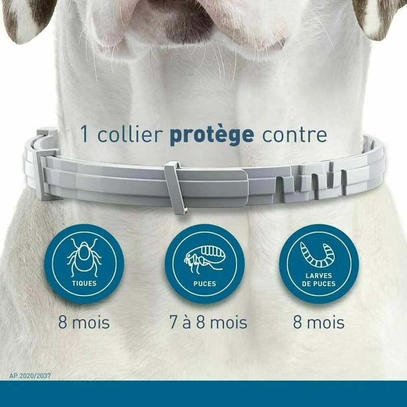 Cão anti pulgas e carrapatos gatos collar pet 8 meses de proteção retrátil pet coleiras para cachorro gato cães de grande porte acessórios