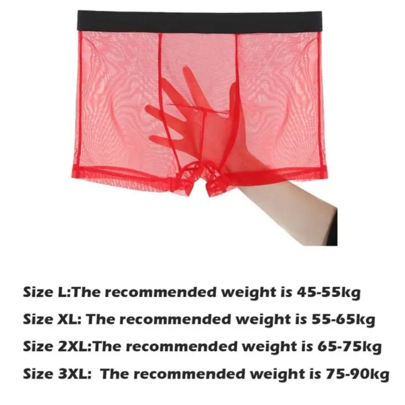 1 Pc L-3XL Thin Mesh Yarn Fully Transparent Men Underpants Personality Summer Underpants