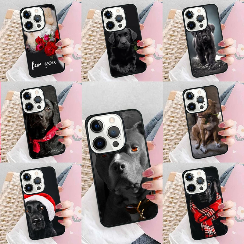 Cute pet dog labrador retriever Soft Phone Case Cover for iPhone 16 Promax 15 Pro 13 14 Plus 11 12 Mini XR XS MAX Coque