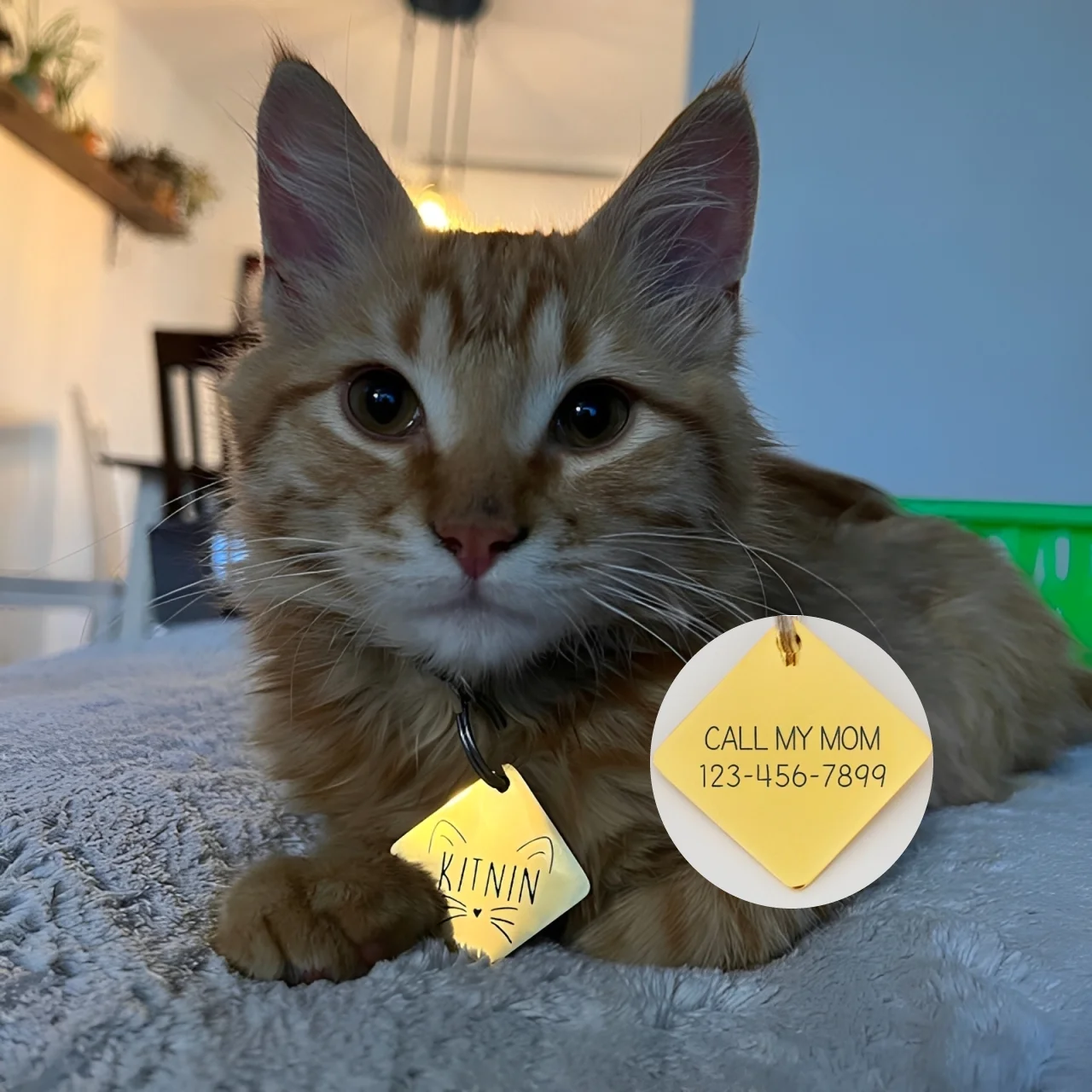 Personalised pet ID tag Custom engraved dog and cat name tag, stainless steel pet collar tag, commemorative pet gift