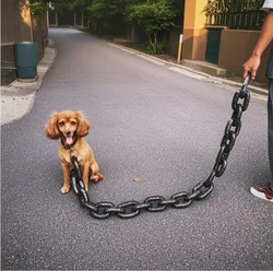 Oh My God! This Weird Plastic Simulation Chain Pet Leash Turns Pets into 