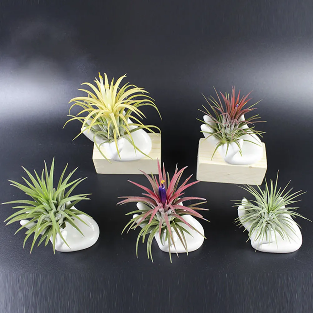 8Pcs Ceramic Finger Ocarina Base Bergamot Air Plant Holder Desktop Decoration Home Display Stand Tillandsia Holder