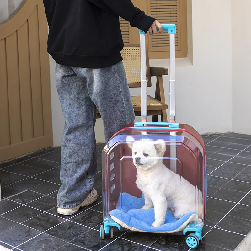 

Pet trolley case, transparent cat bag, portable when going out, suitcase, cat suitcase, small dog case.