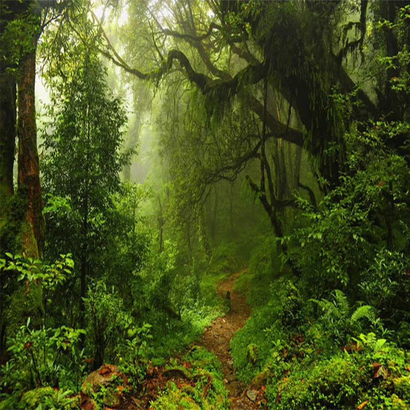 Benutzer definierte 3d Tapete Urwald Natur Landschaft große Wandmalerei für Schlafzimmer Wohnzimmer TV Hintergrund Dekor Foto Wandbild