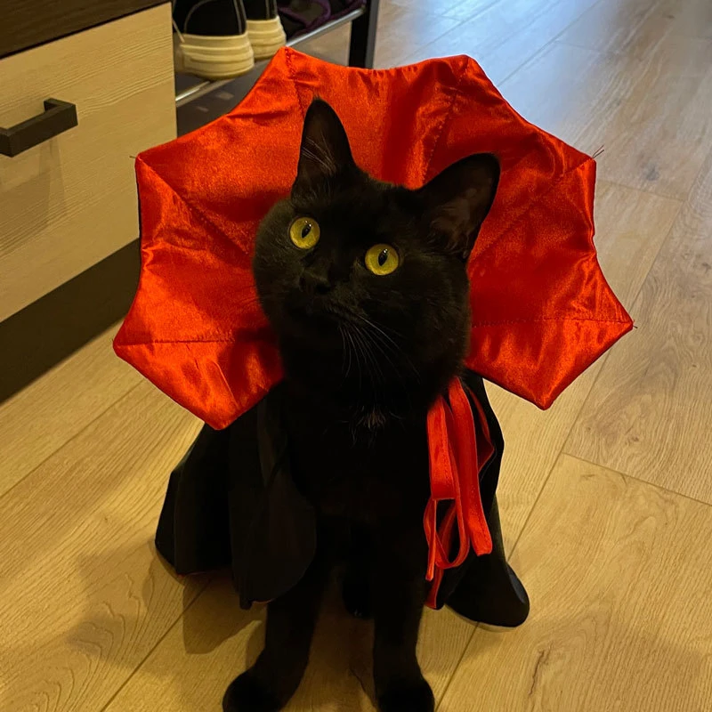 Cat Vampire Cloak Funny Dog Cosplay Halloween Costumes Dog Mantle Apparel Pet Clothing Vampire Cape for Cat Puppy Small Dog