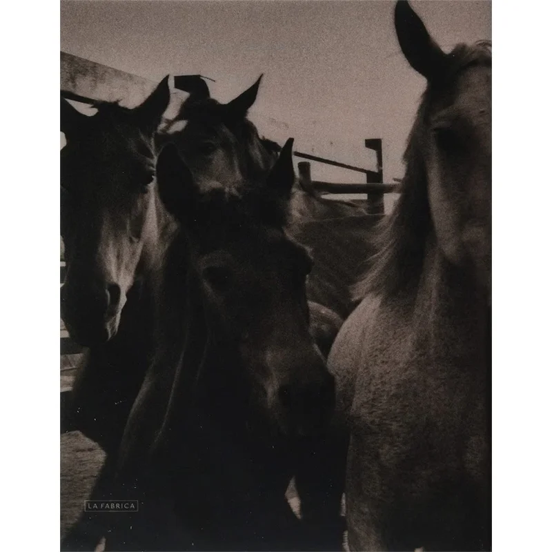 

Manuel Naranjo Martell 2016 Manuel Naranjo Martell La Fabrica 9788417769642 Book