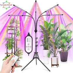 Volle Geführte spektrum Wachsen Licht DC 5V USB Phyto Lampen Desktop Pflanzen Wachstum Lampe Für Indoor Blume VEG Sämling sukkulenten Fitolampy