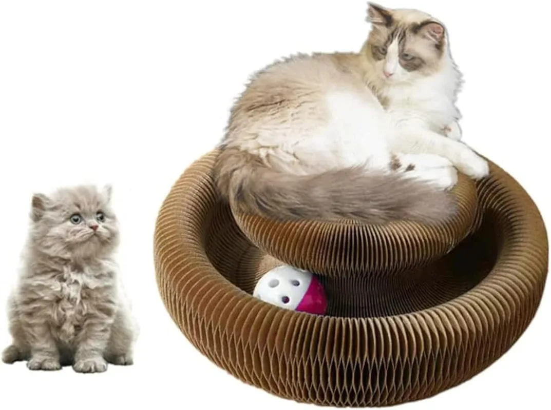 

Cat Supplies Magic Cat Scratcher Board Adventure The Ultimate Interactive Exercise Toys for Cats Cat Accessories
