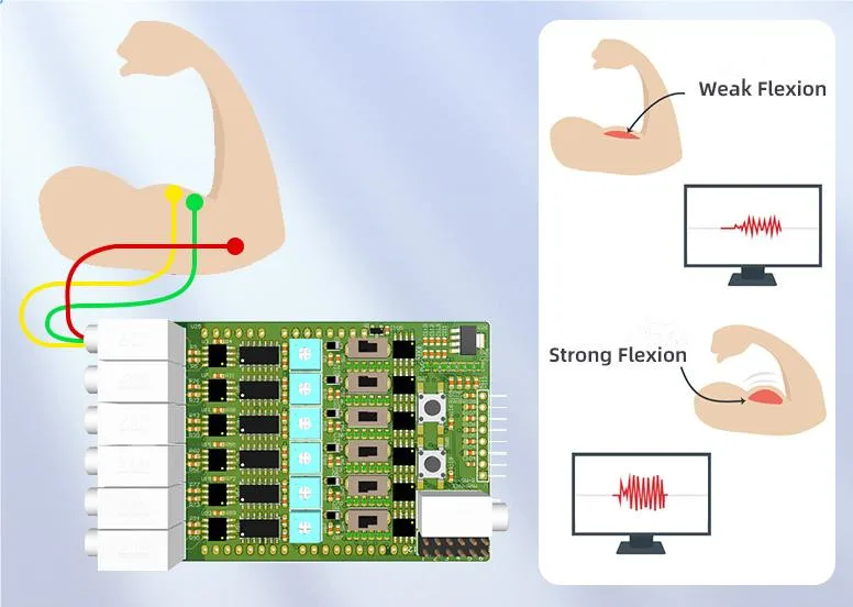 EMG وحدة استشعار العضلات 6-قناة EMG وحدة استشعار العضلات المنفذ التسلسلي الاتصالات التنمية الثانوية