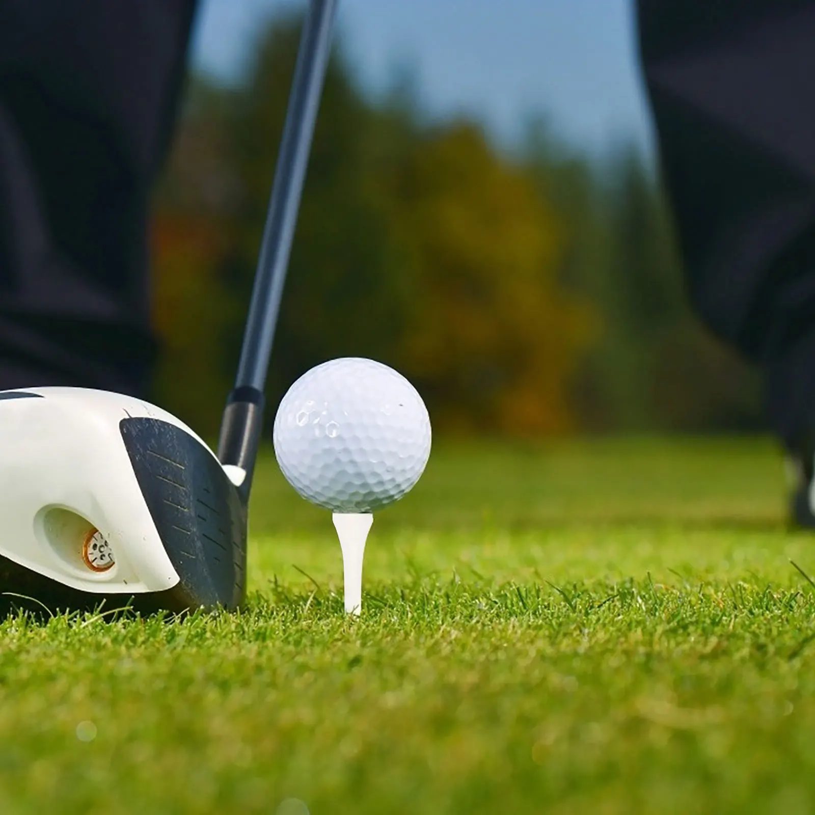 

10 Pcs Golf Pins Golfing Gadgets Practical Golfs Tees Stable Training Accessories Wood