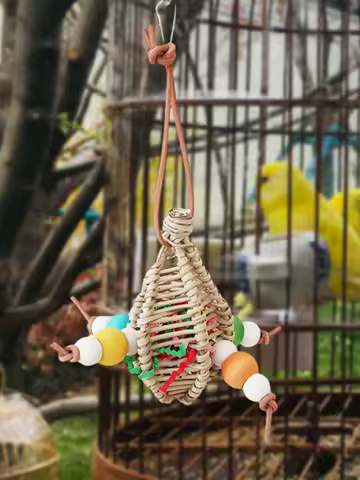 Bird Parrot Chew Toy Bird Chew Hang Toys Interactive Toys Turntable Stand Playing Cage Accessories Pet Supplies