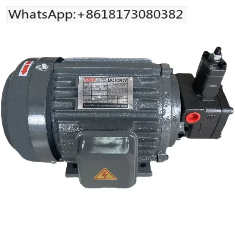 Hydraulic motor plug-in oil pump motor 0.75KW 1.5KW 2.2KW with VP20 VP15 VP30