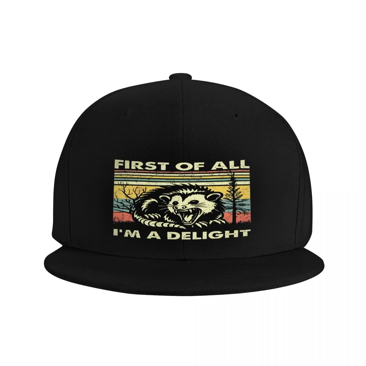 First Of All Im A Delight Sarcastic Angry Cap Men Caps Men Caps For Men Cap Free Shipping Man Hat Baseball Cap