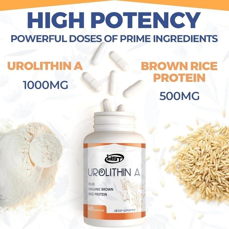 Suplemento de urea 1500 mg más proteína de arroz integral, utilizado para el rendimiento atlético y las células de alta calidad, sin gluten, 60 cápsulas