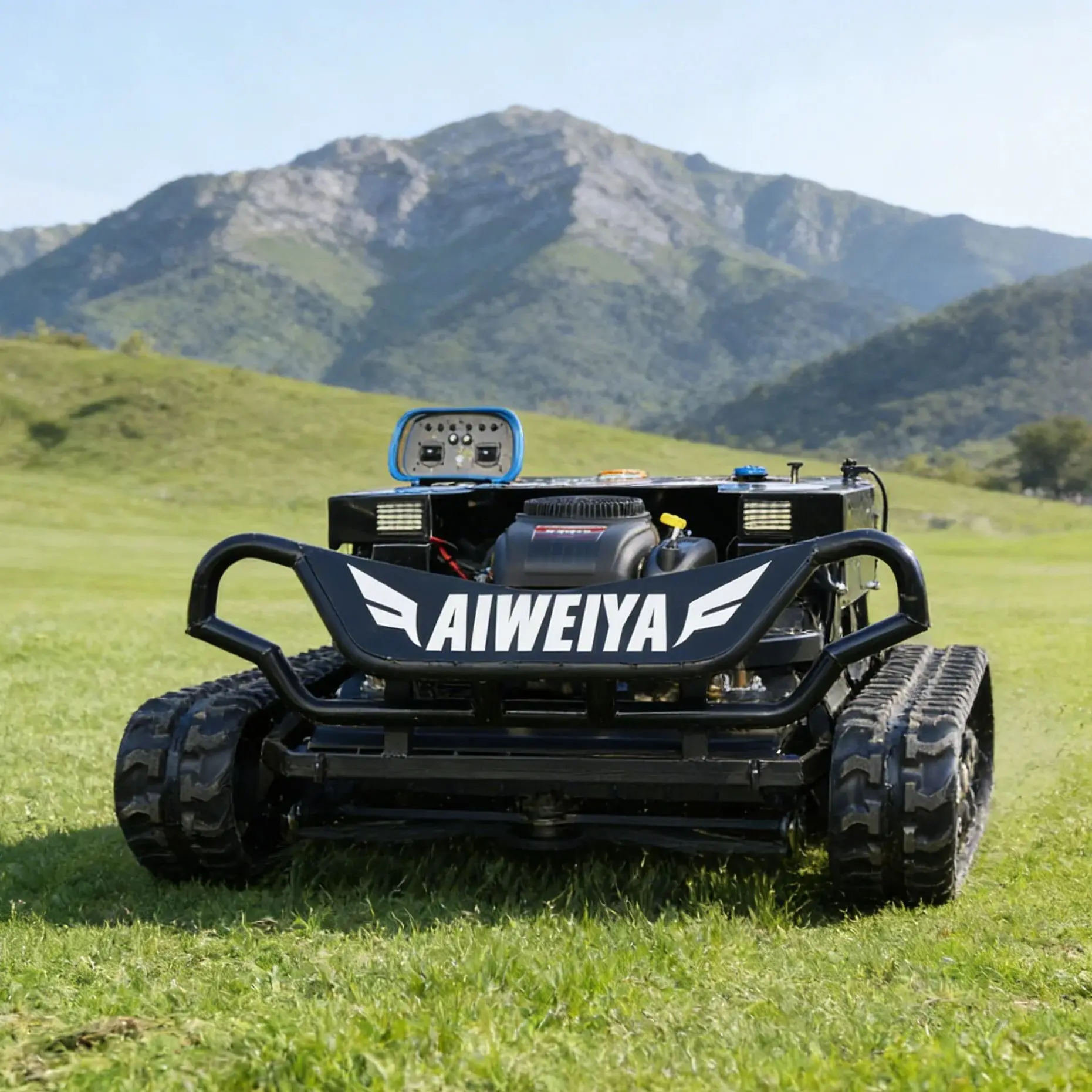 Customized Fast Del…