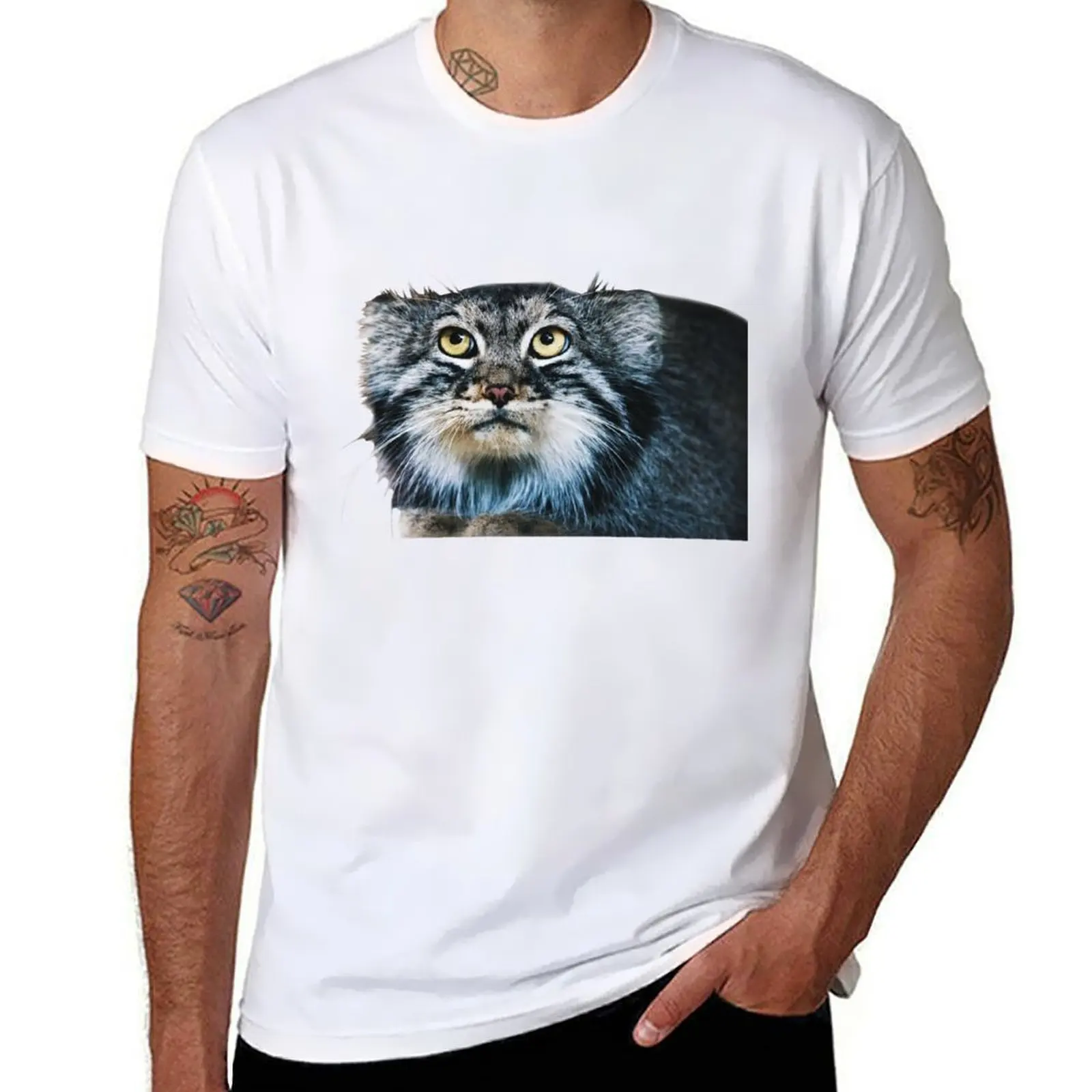 

Pallass Cat T-Shirt man t shirt luxury t shirt man casual T-Shirt