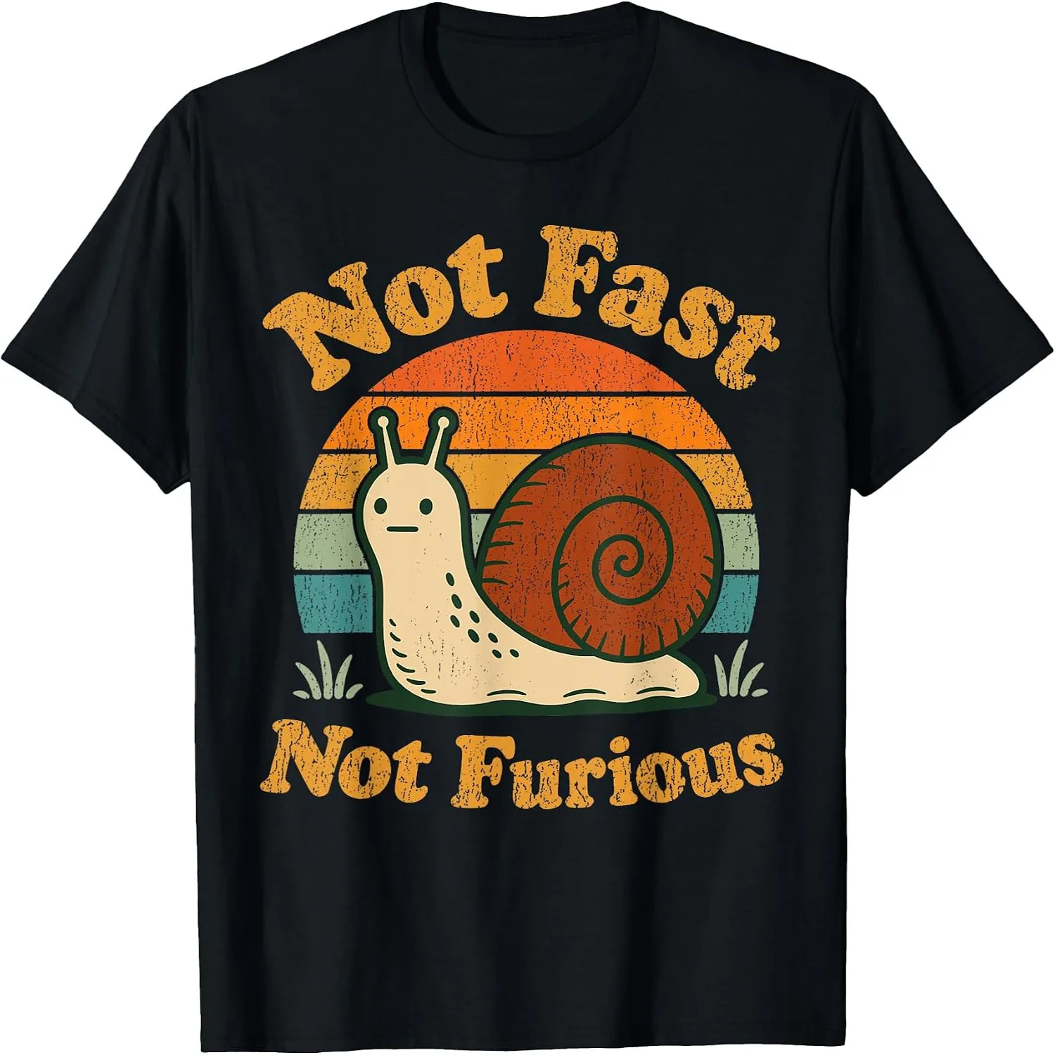 Not Fast Not Furious Funny Snail Pace Funny Retro Sunset T-Shirt