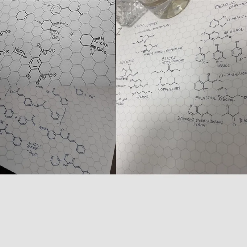 六角形スパイラルグリッドスパイラルノート、オーガニックおよび化学、グリッドルール、ノートブック、裏地付きラボブック