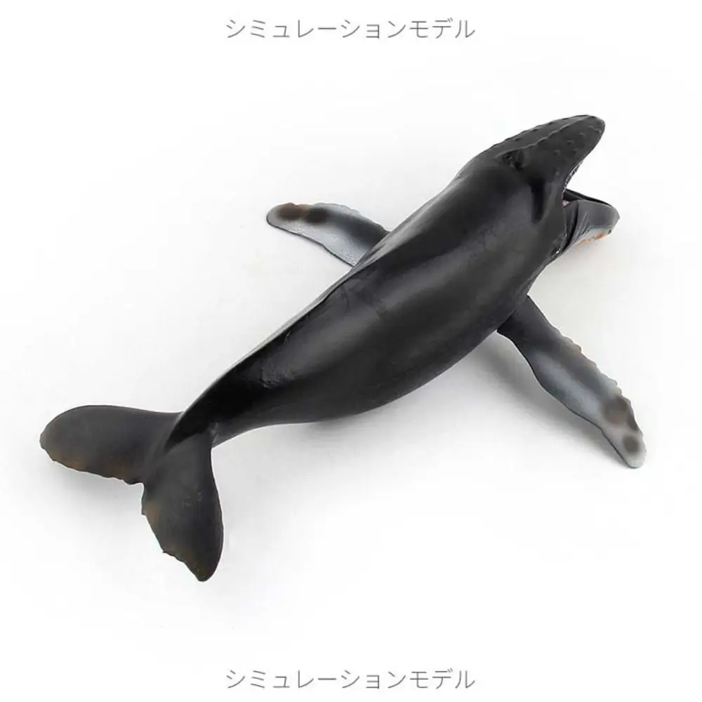シミュレーション海洋動物モデル 海洋生物 水中生物 クジラのフィギュア 教育用 ソリッドPVC 海洋生物フィギュア