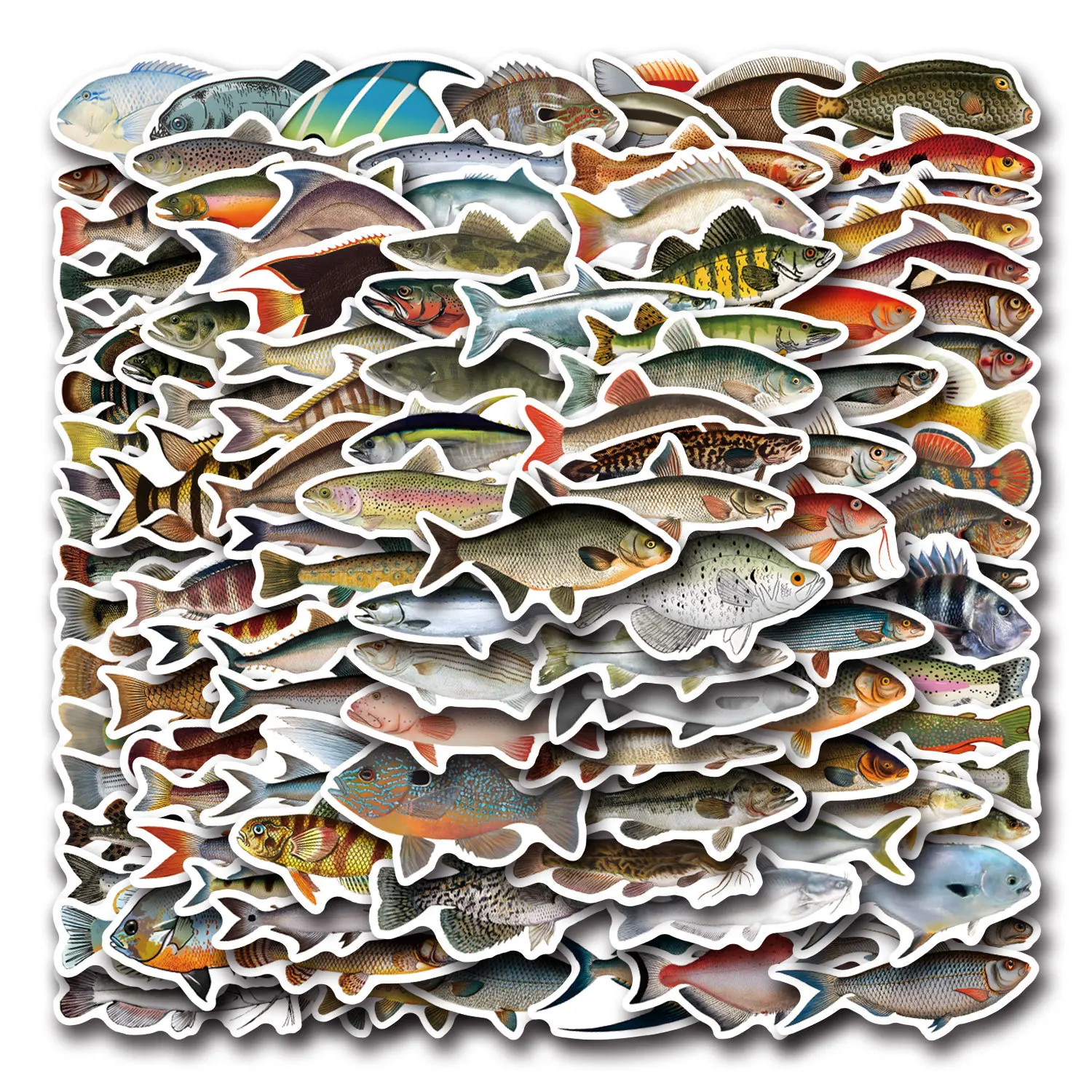 10/30/50/110PCS Realistic Fish Graffiti Stickers Aquatic Animal Sticker Kids Toys DIY Luggage Laptop Guitar Car Bike Skatboard