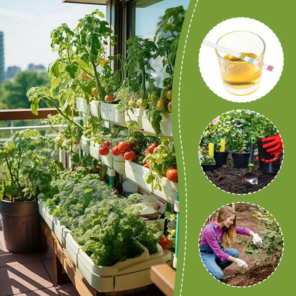 100x التربة متر مختبر درجة الحموضة المياه الرطوبة ضوء اختبار متر عدة حديقة المروج النباتات حموضة التربة شرائط الاختبار أداة الاختبار #6