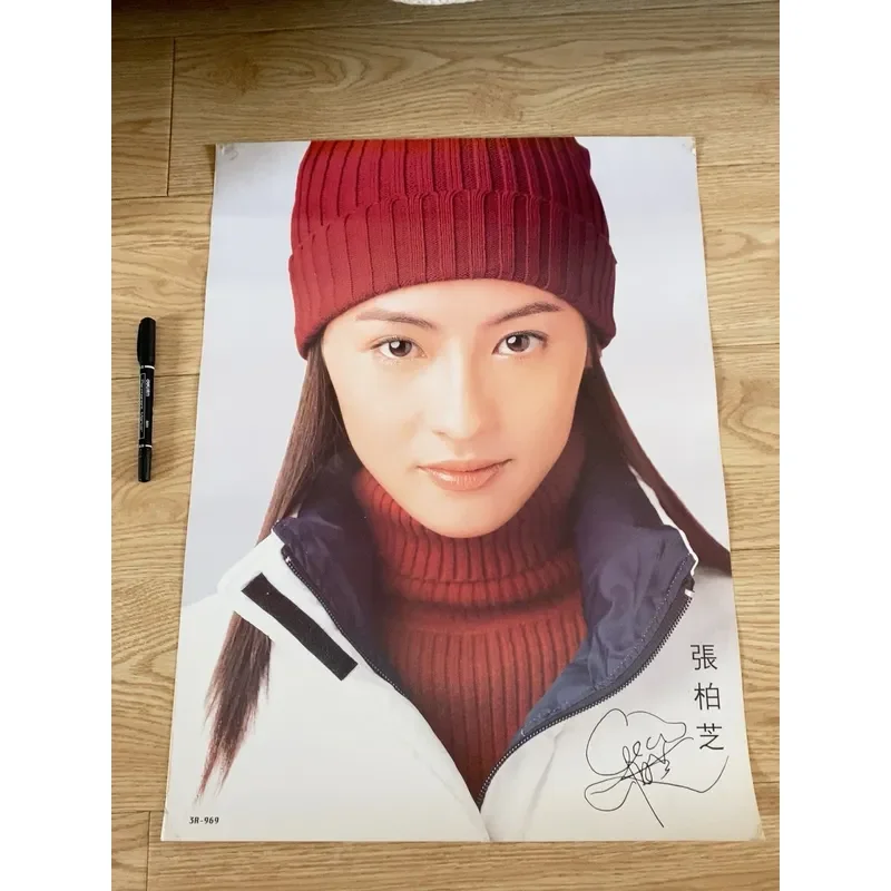Vintage Old Poster Featuring Cecilia Cheung Classic Movie Star Wall Art Decor