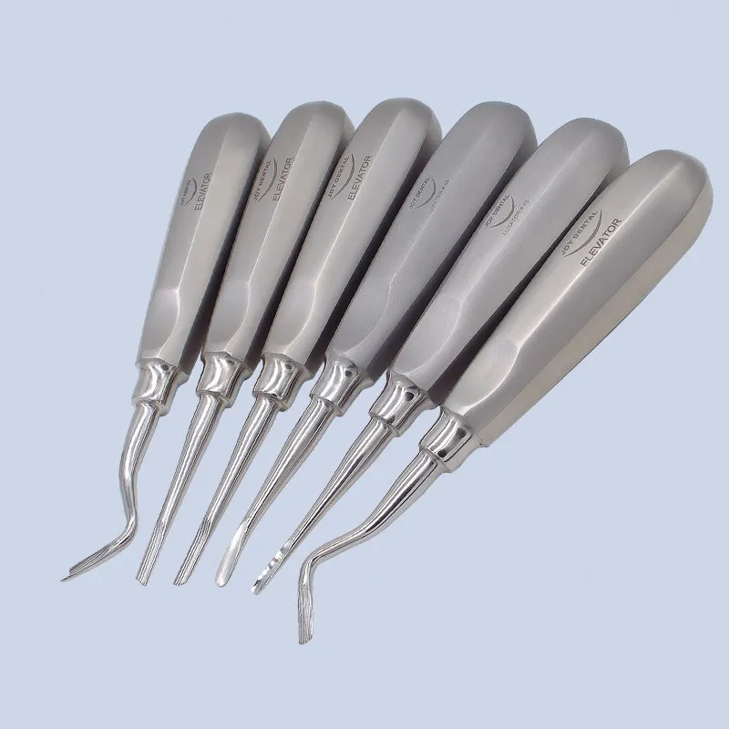 Instrumentos de extracción Dental para perros y gatos, elevadores y pinzas para clínica, punta curva recta de 1mm, 2mm, 3m