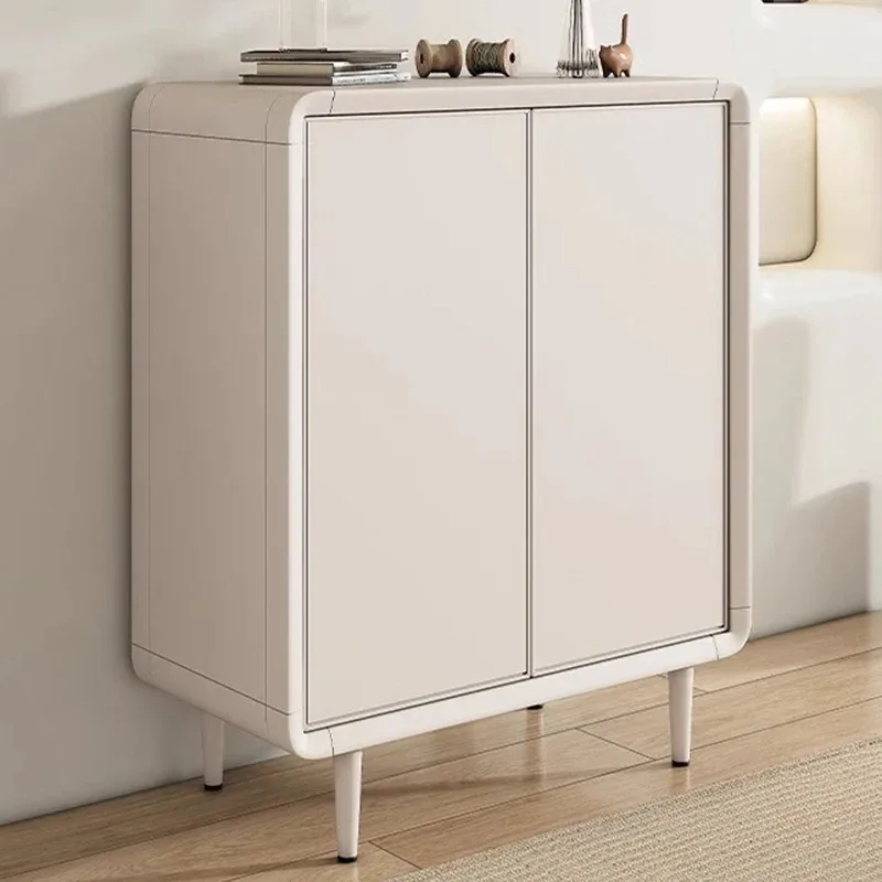 

Aesthetic Vertical Shoe Cabinets Narrow Modern Closet Space Saving Organizers Shoe Cabinets Luxury Accent Sapateira Home Decor