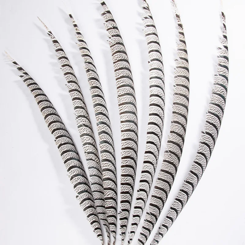 

1-10 шт./лот 70-100 см натуральные леди Амхерст фазан центр хвостовые перья для поделок, декоративные сцены «сделай сам», школьное представление