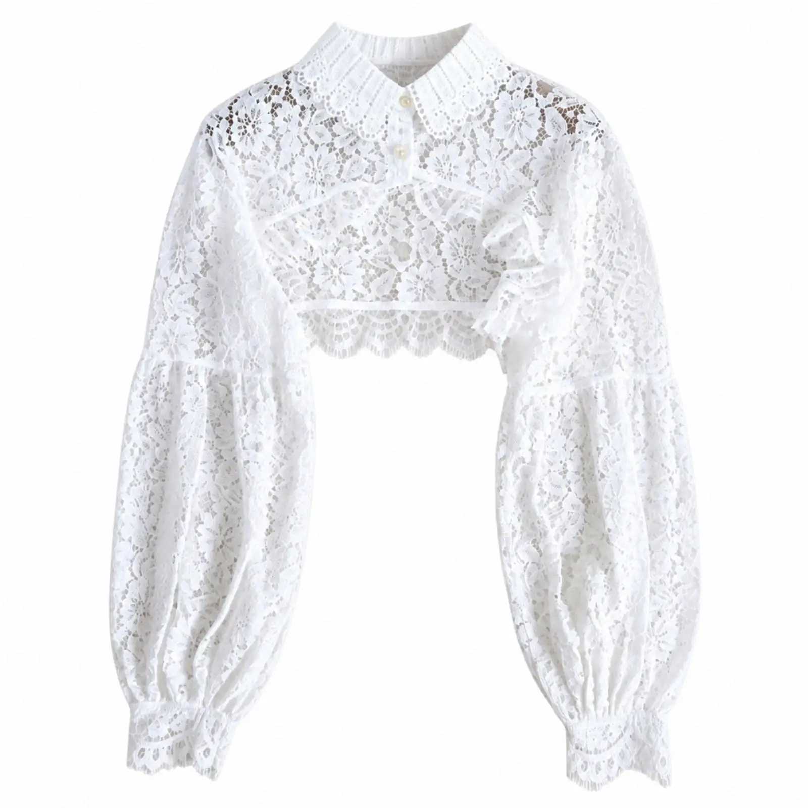 decorative-lace-false-with-long-sleeves-cropped-neckpiece-with-botanical-lace-trim-elegant-clothing-accessory-for-women-sweater